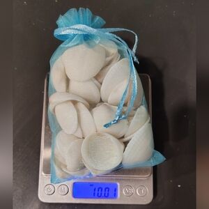 10oz Bag of White Spectral Bittersweet Clamshells from Southeast Florida